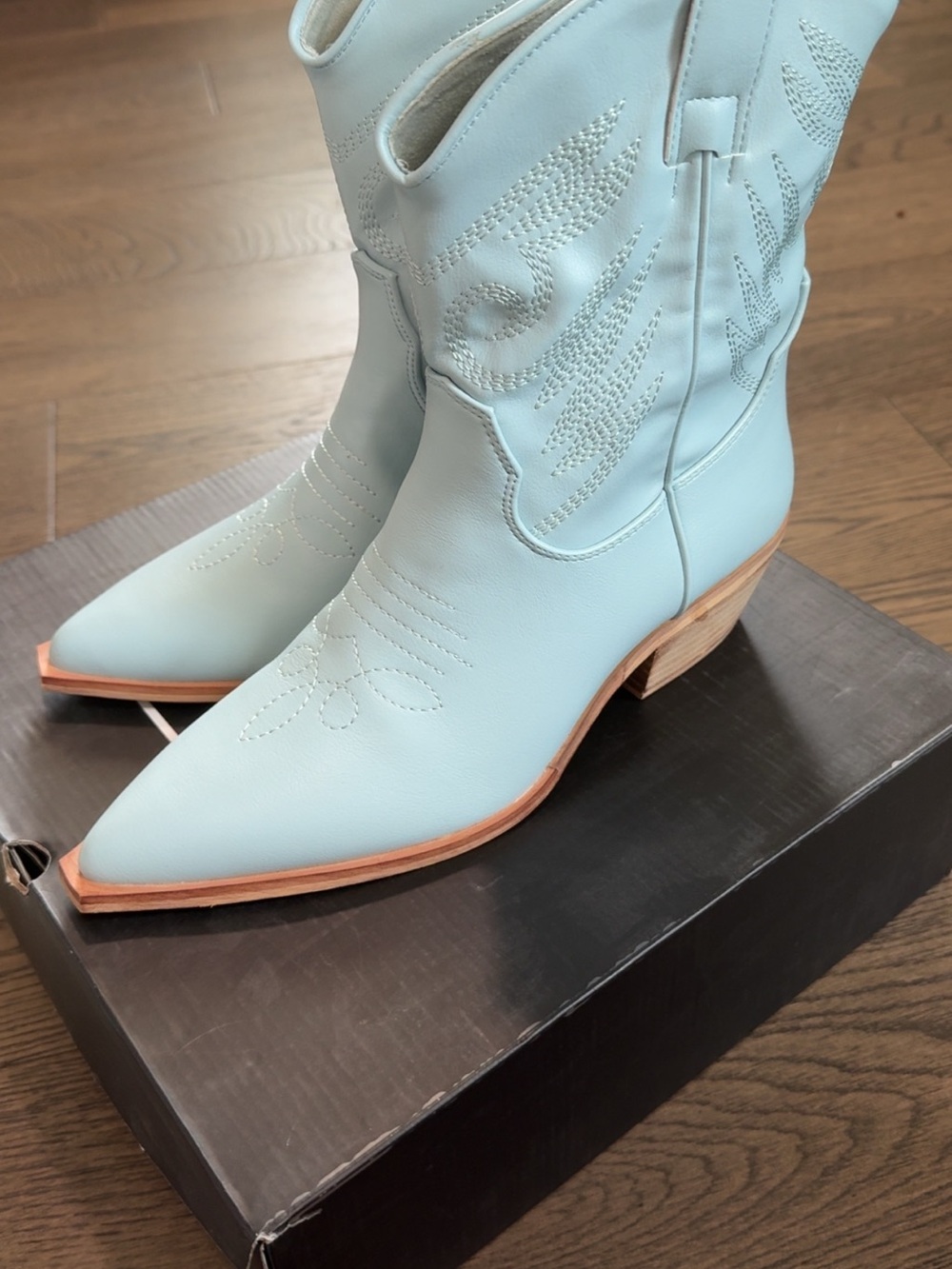 ShuShop Light Blue Pointed Western Ankle Boots